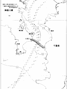 東京湾口海況図(2020/07/06)