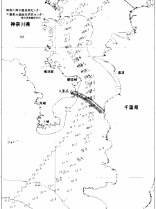 東京湾口海況図(2020/07/12)