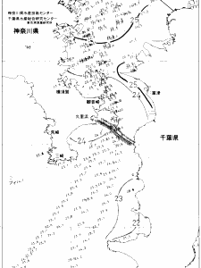 東京湾口海況図(2020/07/21)