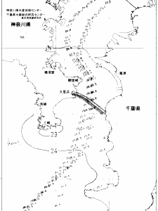 東京湾口海況図(2020/07/26)