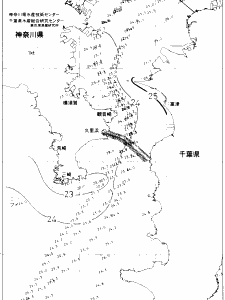 東京湾口海況図(2020/07/29)