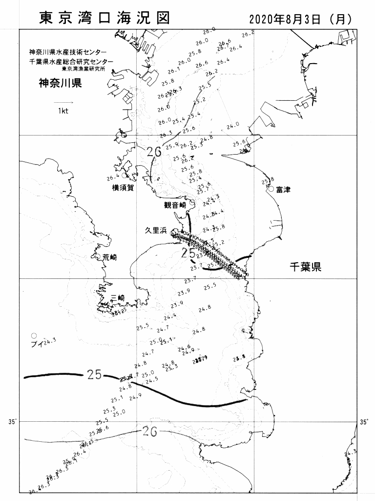 海況図, 東京湾口海況図 検索結果, (水温分布 等を図示)