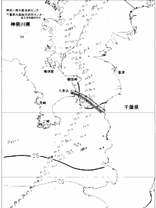 東京湾口海況図(2020/08/03)
