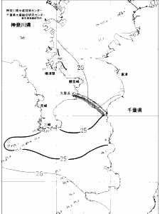 東京湾口海況図(2020/08/04)