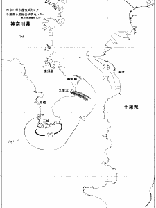 東京湾口海況図(2020/08/11)
