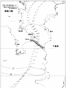 東京湾口海況図(2020/08/15)