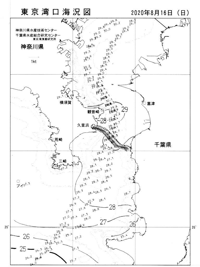 海況図, 東京湾口海況図 検索結果, (水温分布 等を図示)