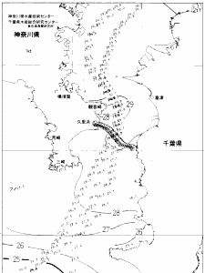 東京湾口海況図(2020/08/16)