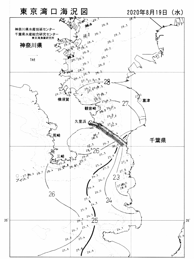 海況図, 東京湾口海況図 検索結果, (水温分布 等を図示)