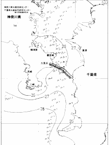 東京湾口海況図(2020/08/21)