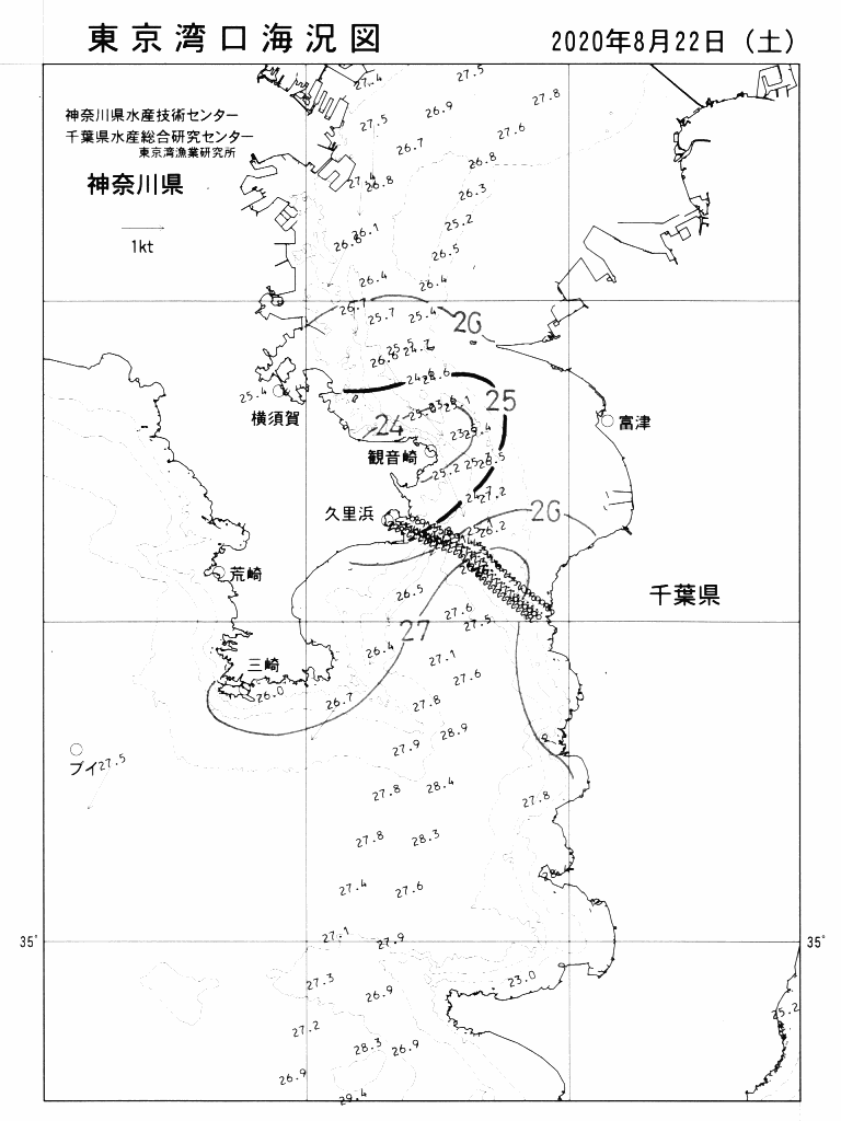 海況図, 東京湾口海況図 検索結果, (水温分布 等を図示)