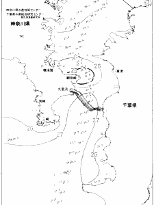 東京湾口海況図(2020/08/23)