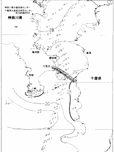 東京湾口海況図(2020/08/25)