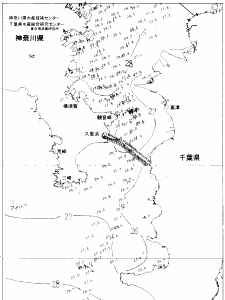 東京湾口海況図(2020/08/26)