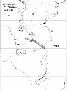 東京湾口海況図(2020/08/27)