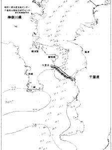 東京湾口海況図(2020/08/29)