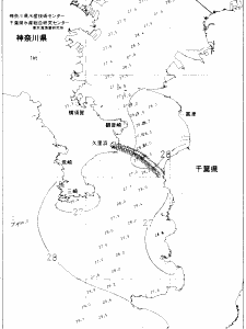 東京湾口海況図(2020/08/30)
