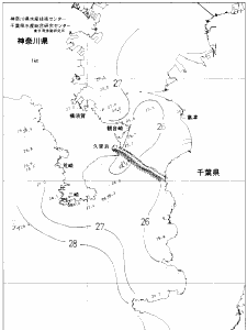 東京湾口海況図(2020/09/02)
