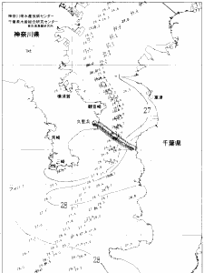 東京湾口海況図(2020/09/04)