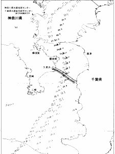 東京湾口海況図(2020/09/13)