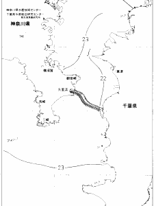 東京湾口海況図(2020/09/25)