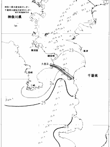東京湾口海況図(2020/09/29)