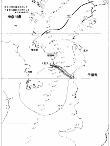 東京湾口海況図(2020/10/12)