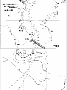 東京湾口海況図(2020/10/26)