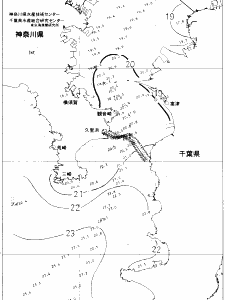 東京湾口海況図(2020/10/30)