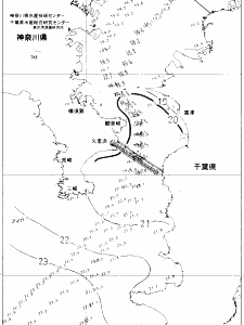 東京湾口海況図(2020/11/03)
