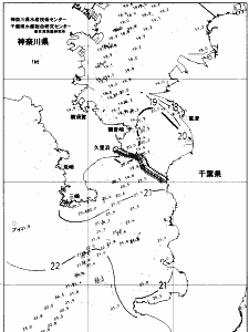 東京湾口海況図(2020/11/05)