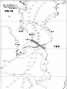 東京湾口海況図(2020/11/06)