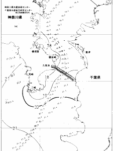 東京湾口海況図(2020/11/12)