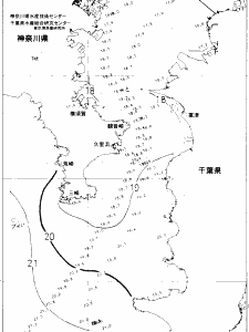 東京湾口海況図(2020/11/14)