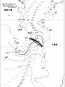東京湾口海況図(2020/11/19)