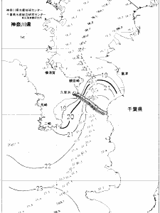 東京湾口海況図(2020/11/20)