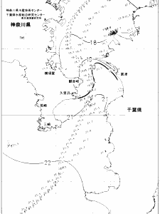 東京湾口海況図(2020/11/24)