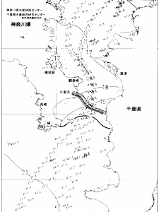 東京湾口海況図(2020/12/01)