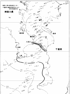 東京湾口海況図(2020/12/02)