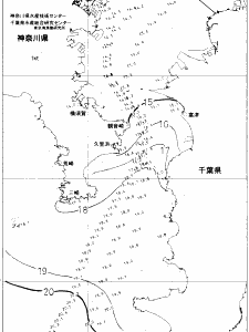 東京湾口海況図(2020/12/19)