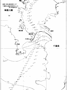 東京湾口海況図(2020/12/21)
