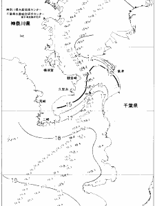 東京湾口海況図(2020/12/22)