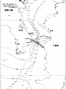 東京湾口海況図(2020/12/26)