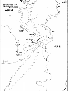 東京湾口海況図(2020/12/28)