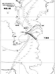東京湾口海況図(2020/12/29)