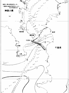 東京湾口海況図(2020/12/30)