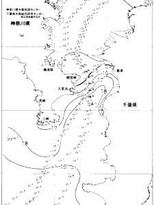 東京湾口海況図(2020/12/31)