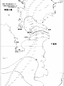東京湾口海況図(2021/01/07)