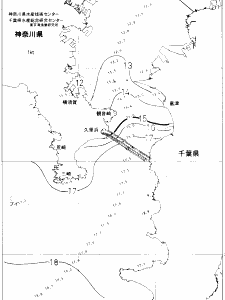 東京湾口海況図(2021/01/08)