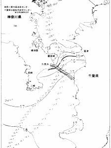 東京湾口海況図(2021/01/10)